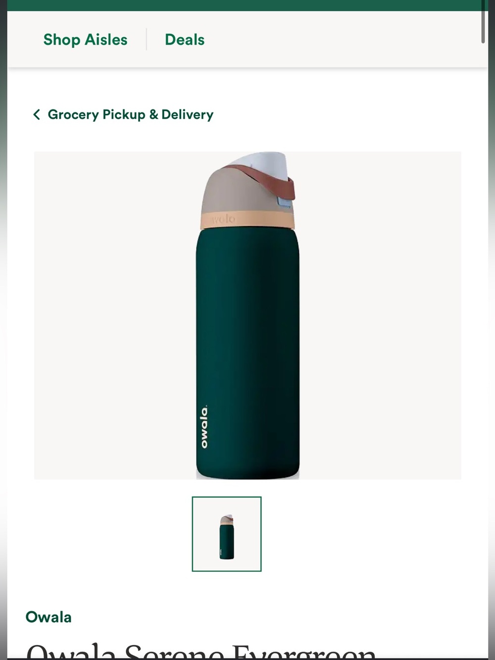 Owala Evergreen Stainless Steel Water Bottle with Beige Lid